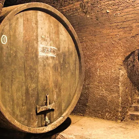 Weinhof & Gaestezimmer Gregor Raab