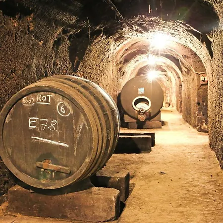 Weinhof & Gaestezimmer Gregor Raab Lejlighed Unterretzbach