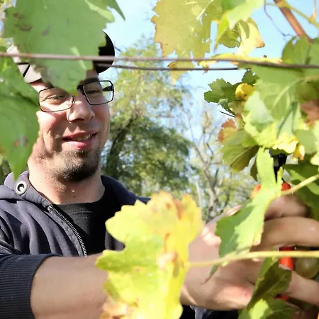 Weinhof & Gaestezimmer Gregor Raab