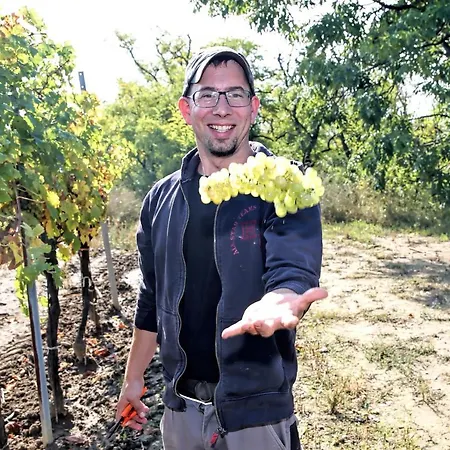 Apartman Weinhof & Gaestezimmer Gregor Raab *