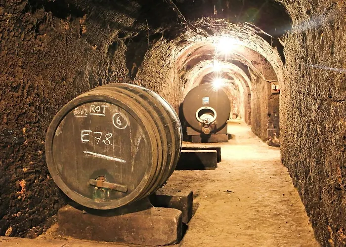 Weinhof & Gaestezimmer Gregor Raab Lejlighed Unterretzbach