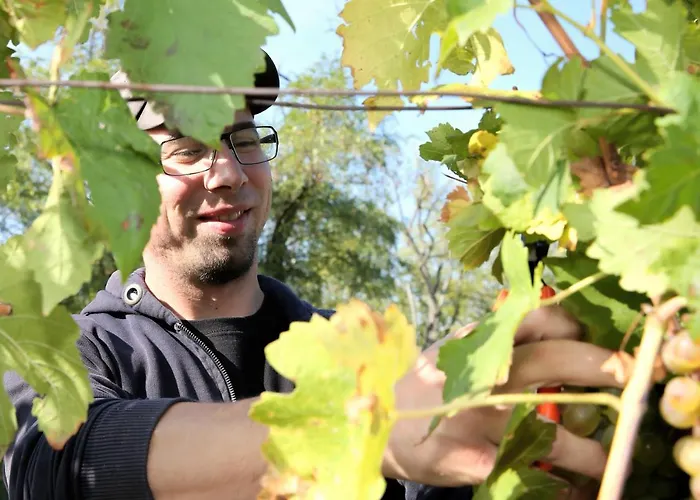 Weinhof & Gaestezimmer Gregor Raab