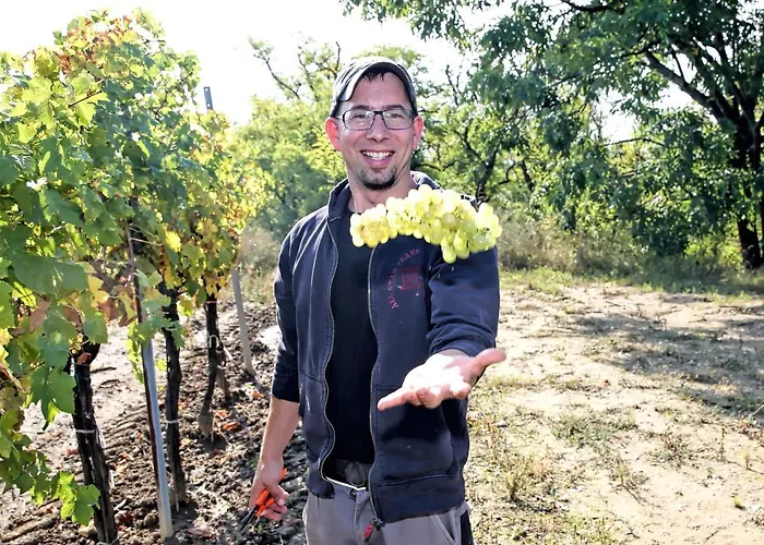 Apartman Weinhof & Gaestezimmer Gregor Raab *